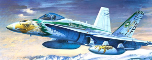 (D)1:72 F/A-18C CHIPPY HO 1995 LIMITED EDITION