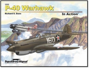 (N)P-40 WARHAWK IN ACTION