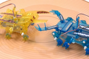 INSECT BATTLE SET (2CH.REMOTE)