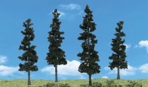 CONIFER TREES(4)4