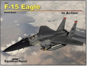 F-15 EAGLE IN ACTION